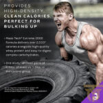 مس تک اکستریم ماسل تکMass Gainer MuscleTech Mass-Tech Extreme 2000 Mass Gainer