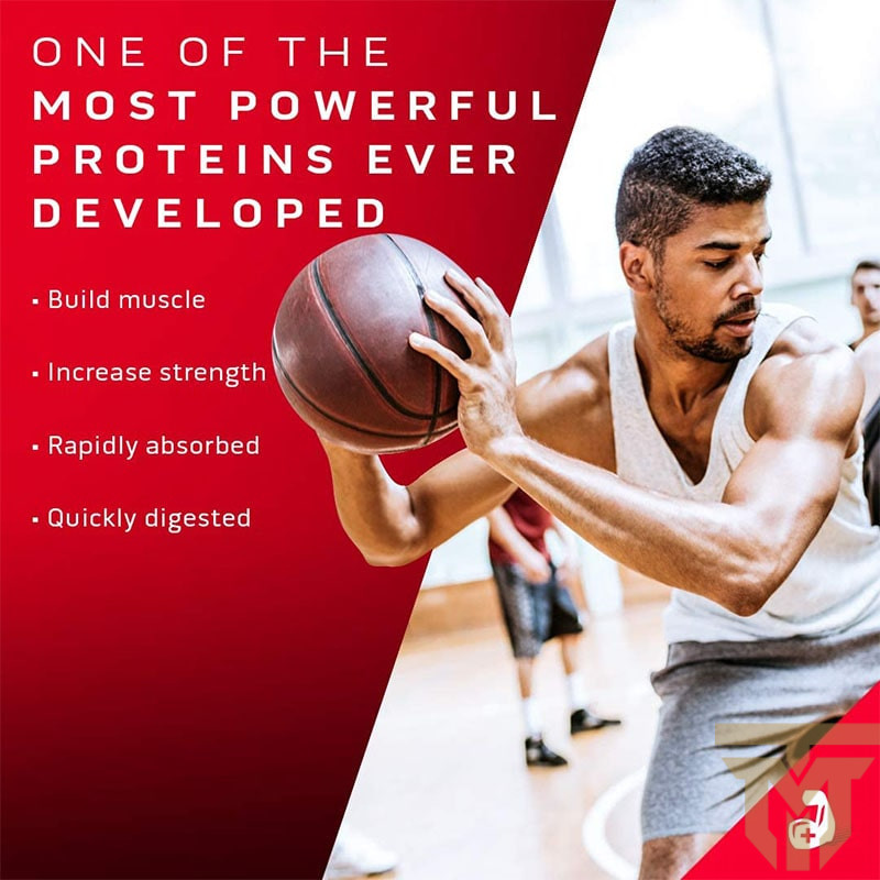 پروتئین نیتروتک وی گلد ماسل تک نیتروتک وی گلد 100% ماسل تک 5 پوندیnitrotech whey gold 5lbs Muscletech