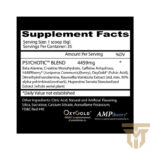 پمپ PSYCHOTIC اینسین لبزpsychotic insane labz